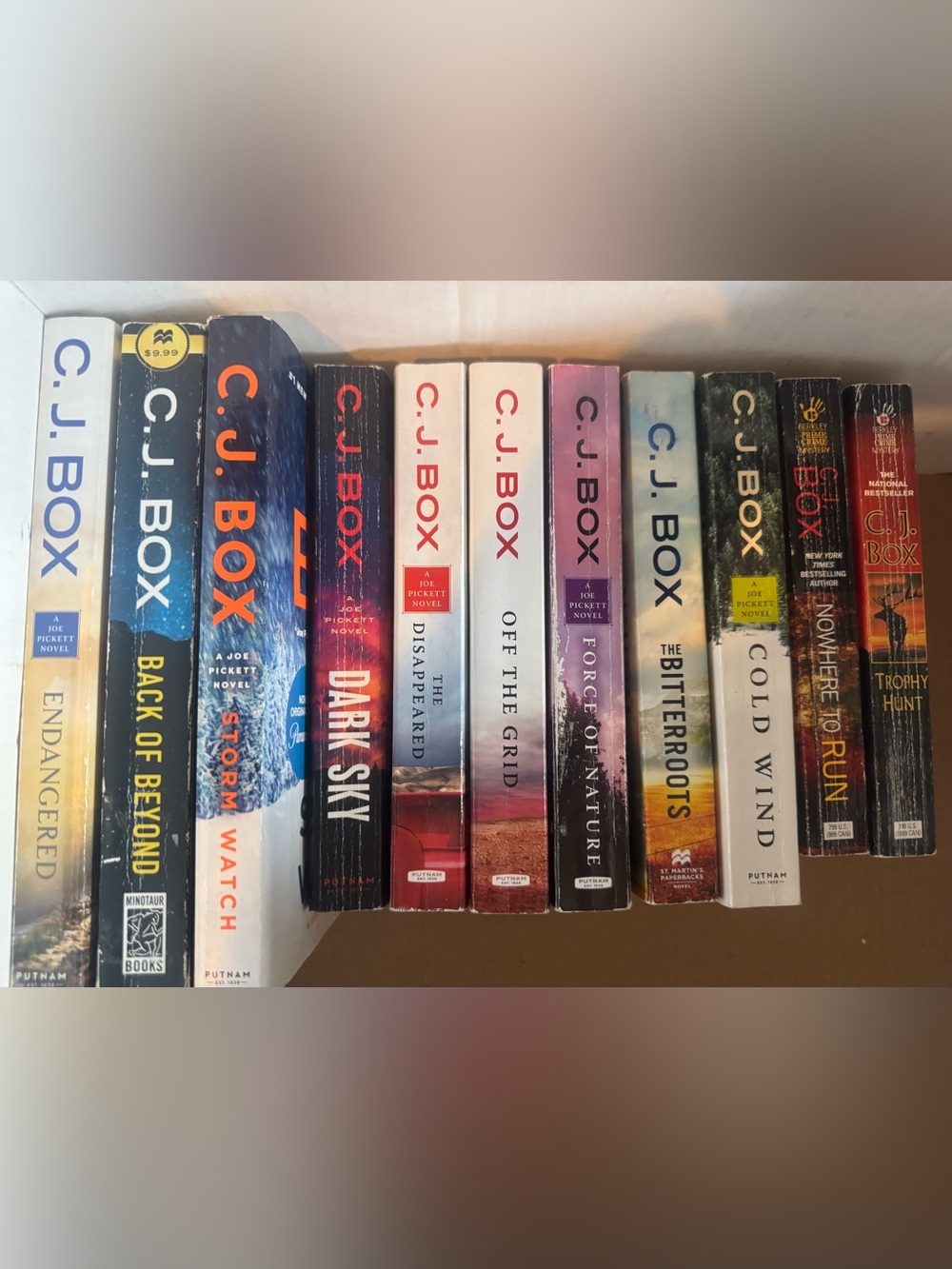 Paperback Book Set - Multi-Color Spine Collection